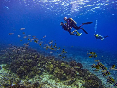 Formation de Plong&eacute;e